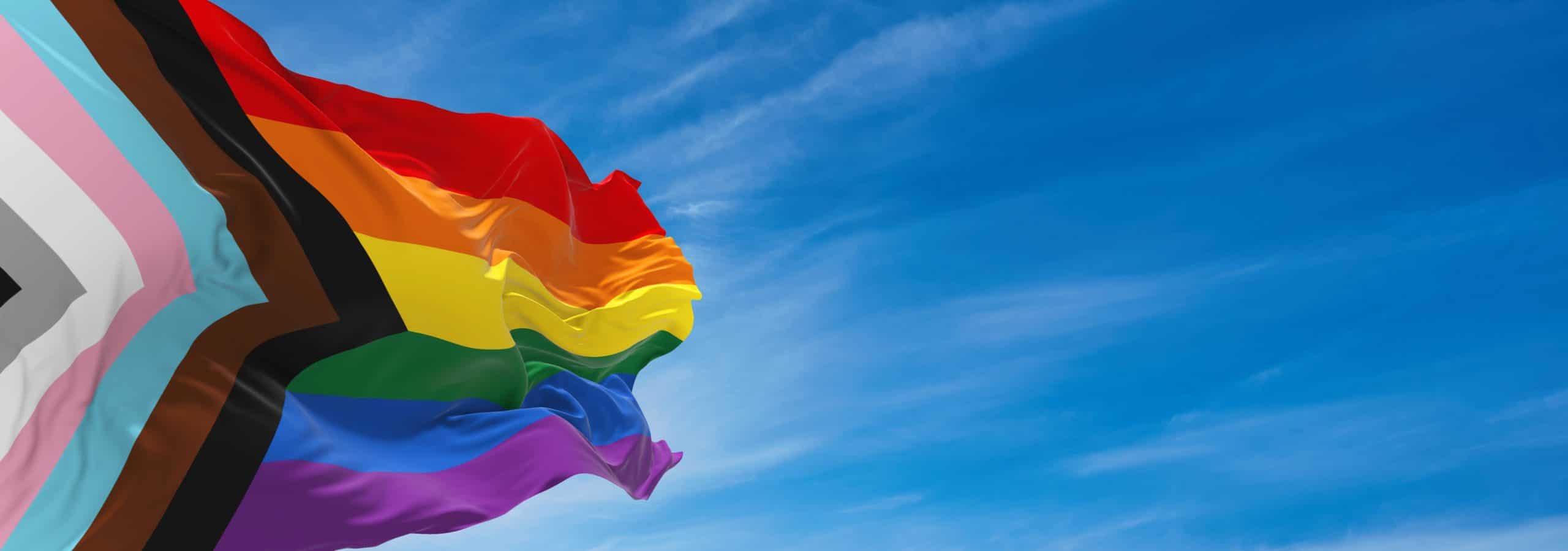 “LGBTQ Rights on the Line The Role of Communicators Advocating for