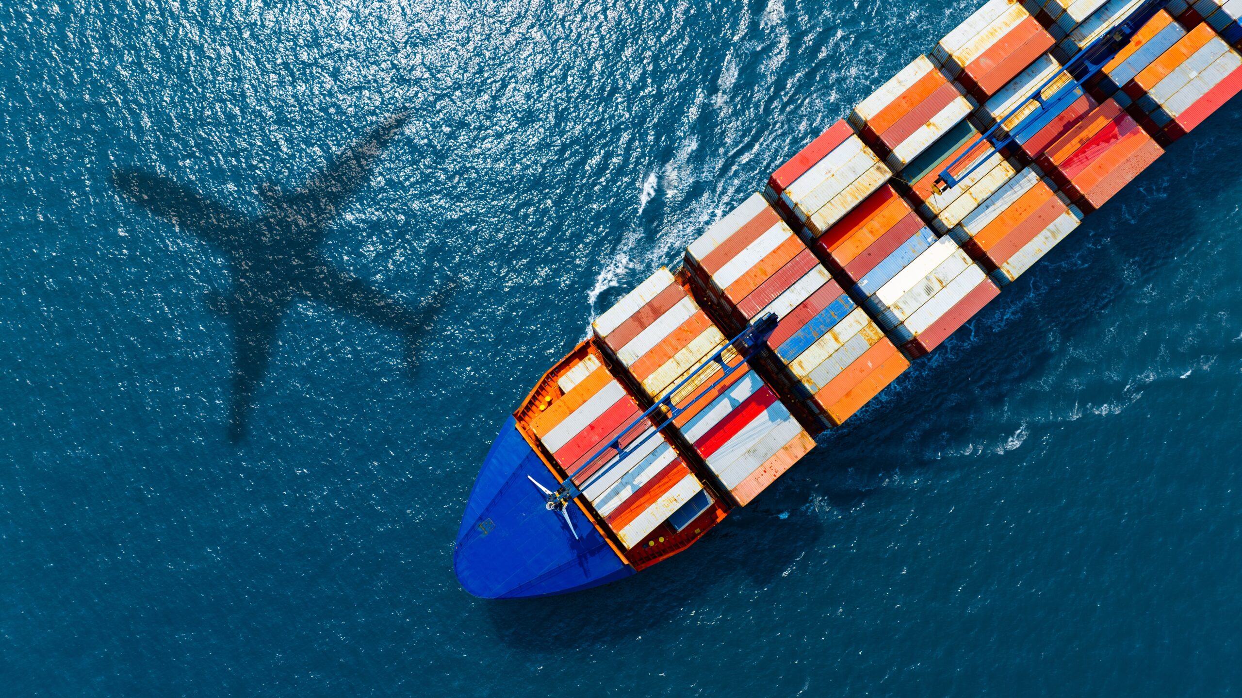 Global Trade System Has Long Been in Transition - Vested